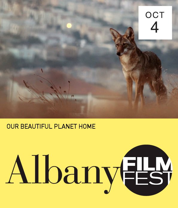 ALBANY FILM FEST LOCKUP_OCT4.jpg