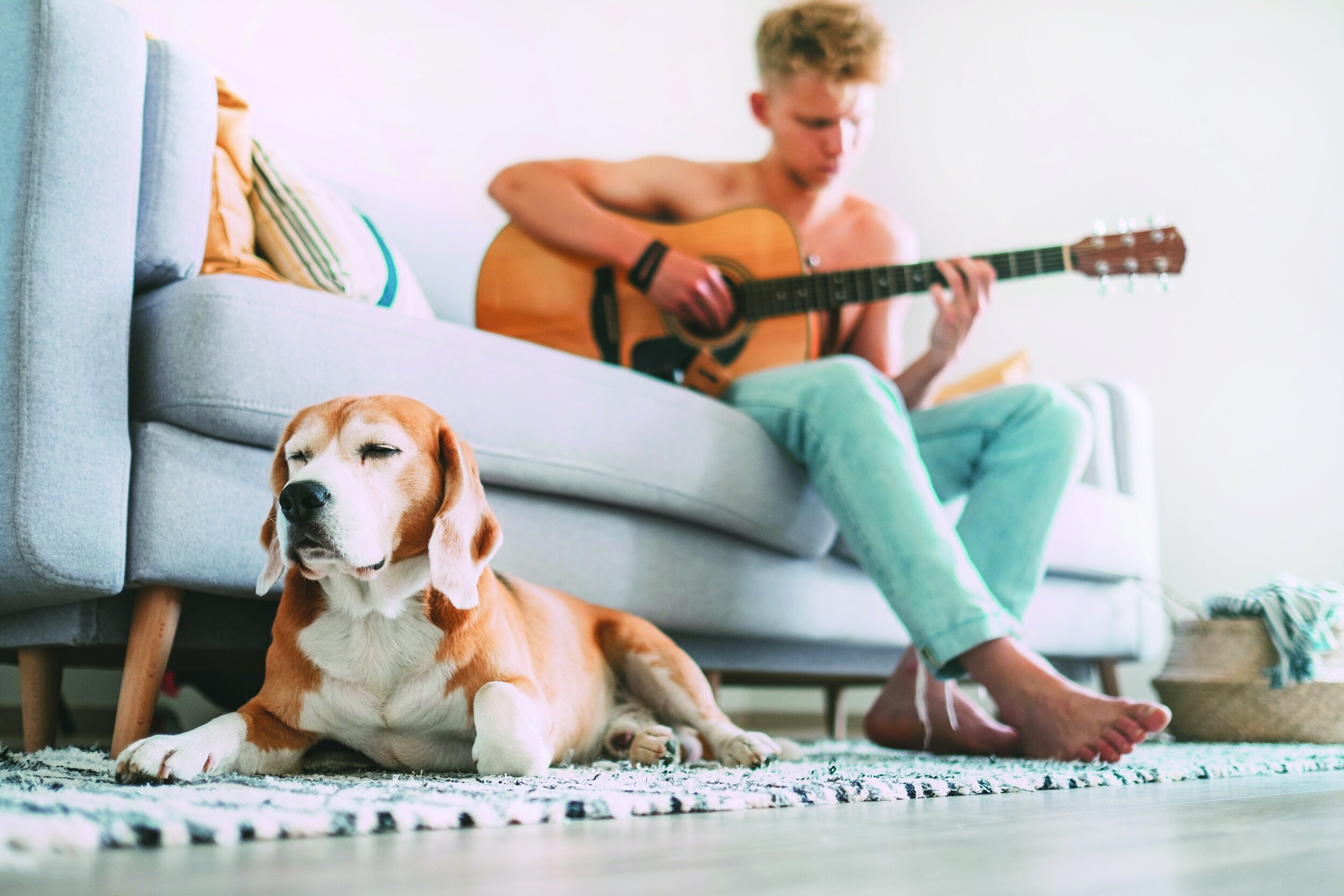 Beagle with boy + guitar_CMYK_iStock-980187058.jpg