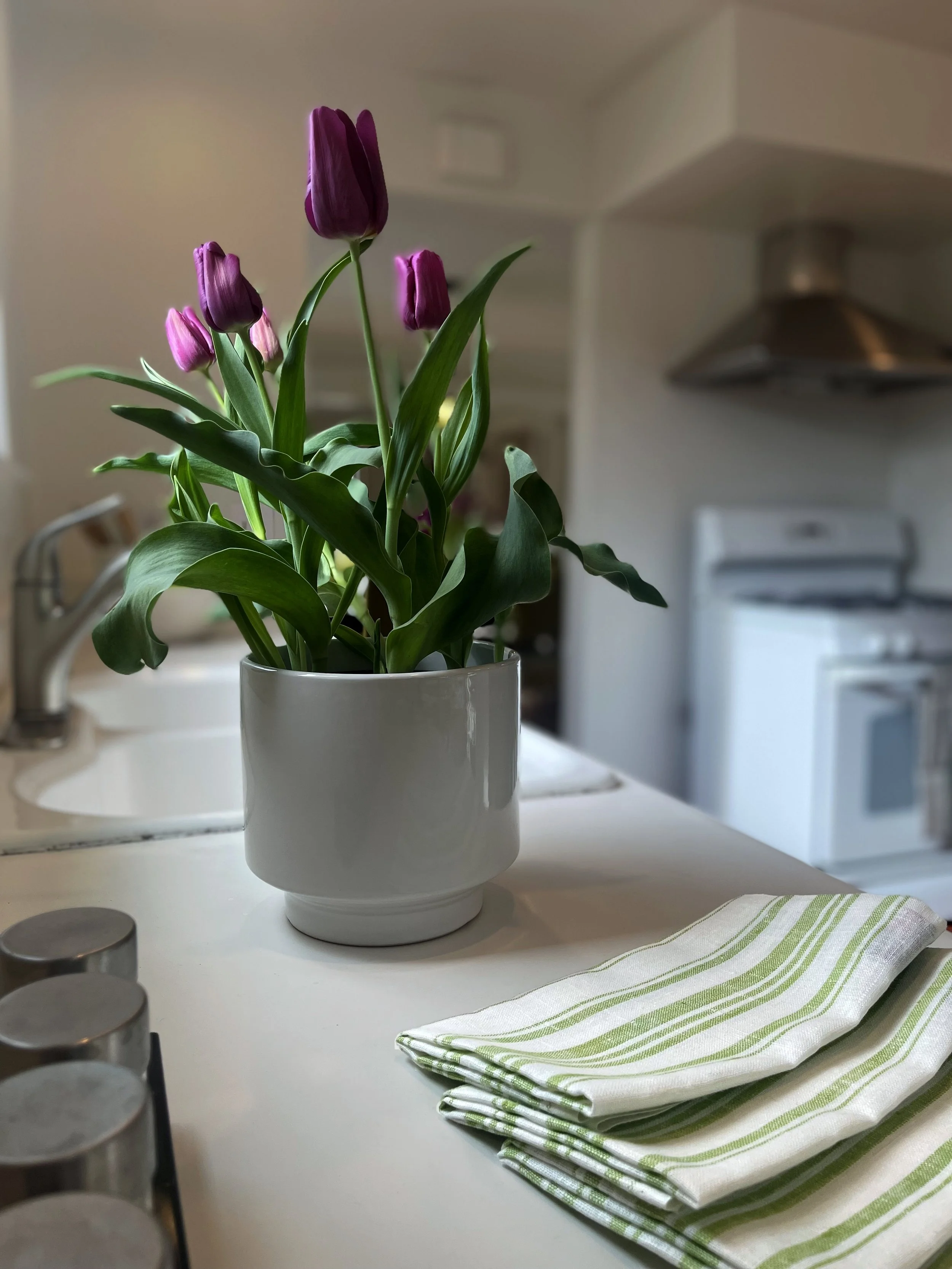 SUMMERHOUSE NAPKINS_green_in kitchen.jpg