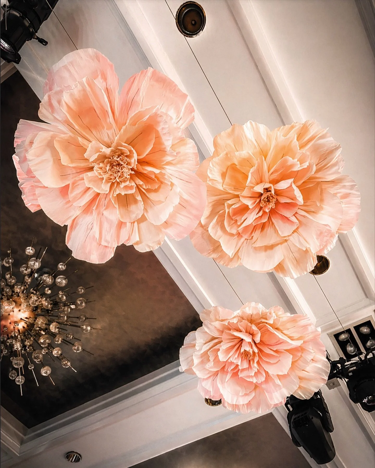 Large peach-colored paper flower decorations hanging from the ceiling of a room with white trim and a dark wall.