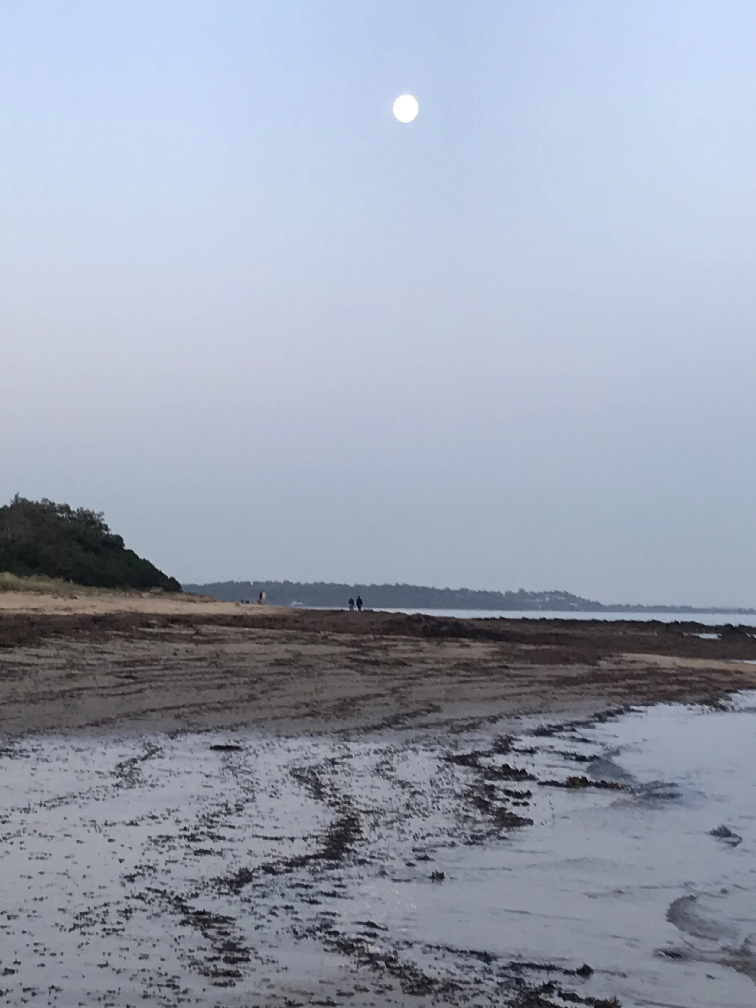 The Scorpio Super Moon