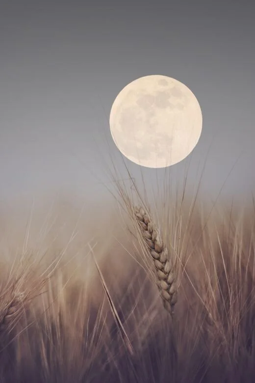 Aries Full Moon