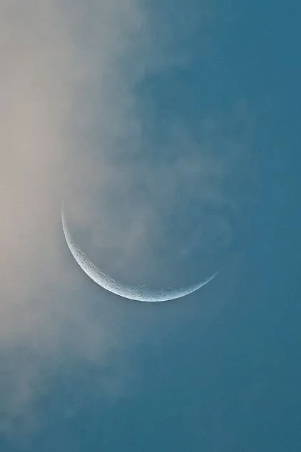 Aquarian New Moon ~ AEDT 1st February, 2022