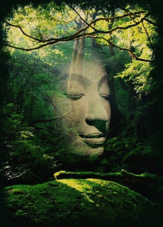 forest Buddha.jpg