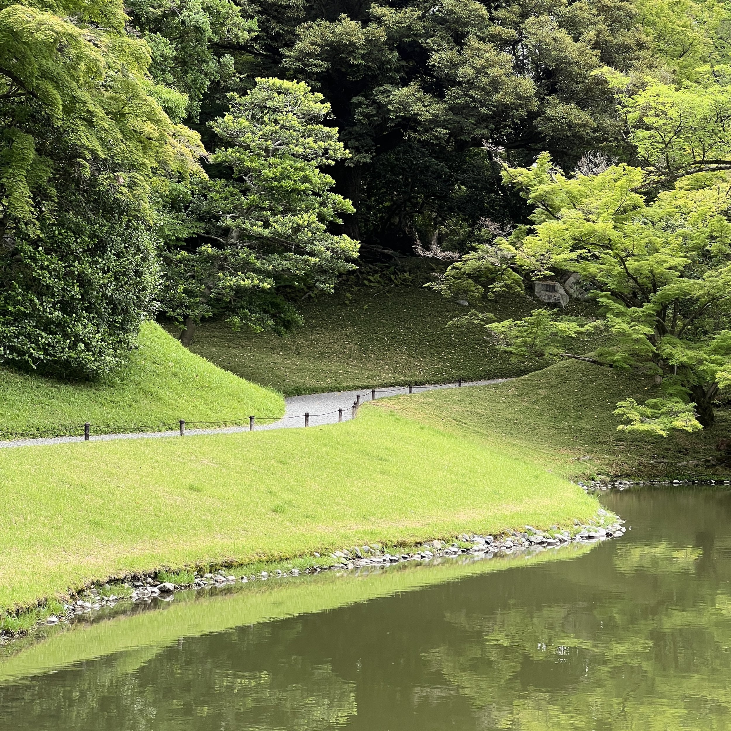 IMG_0981.JPEG
