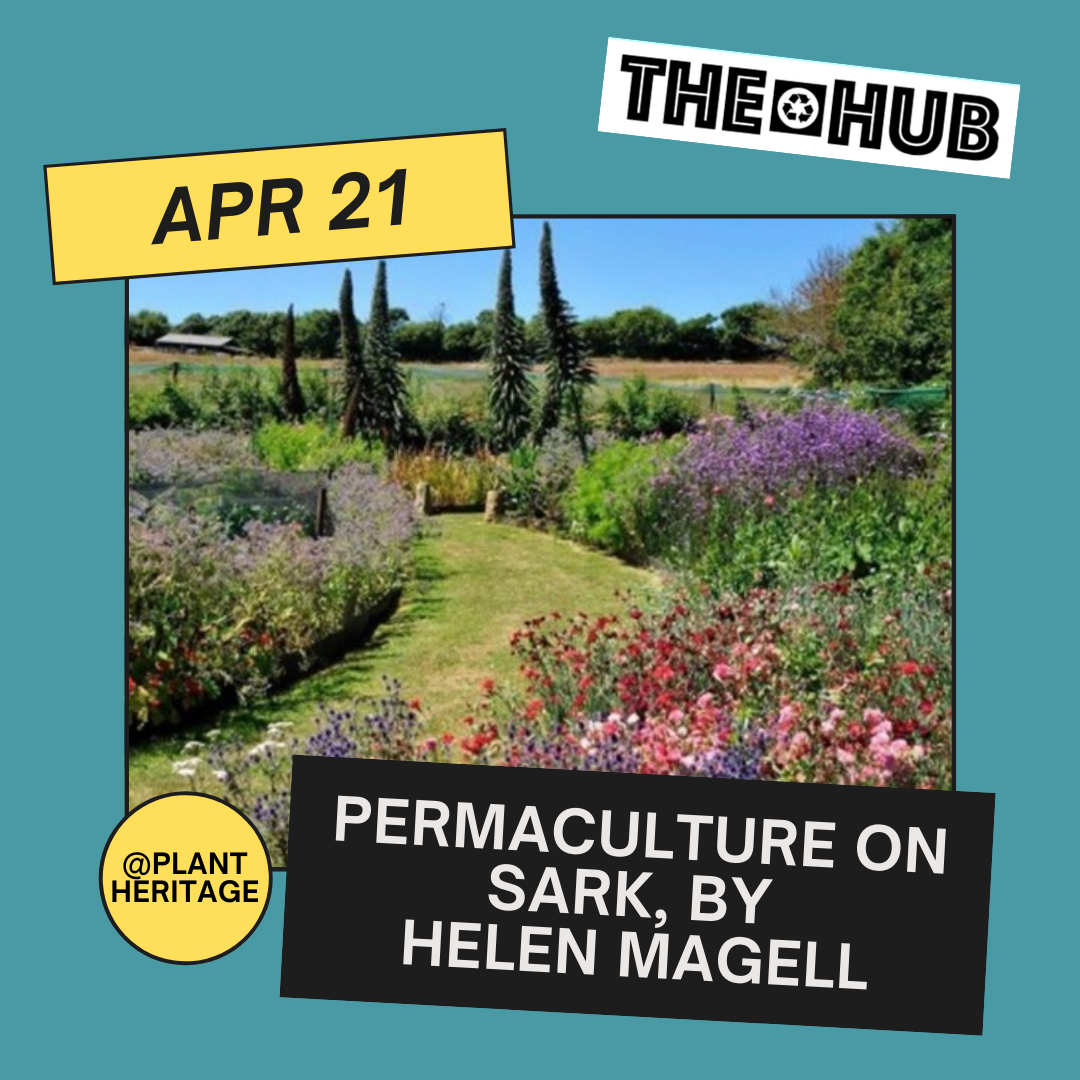 Permaculture on Sark, by Helen Magell