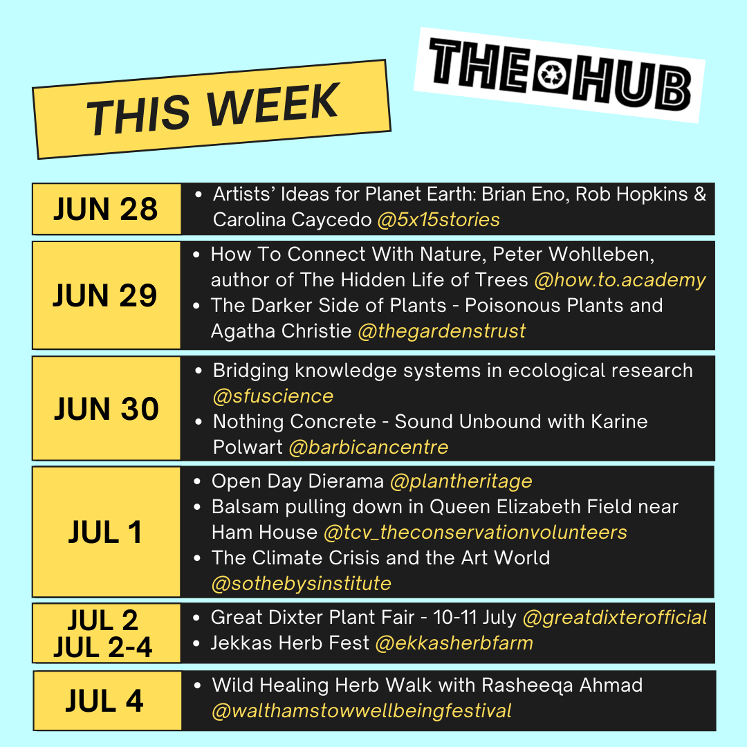 This Week on the hub.earth 28 June - July 4