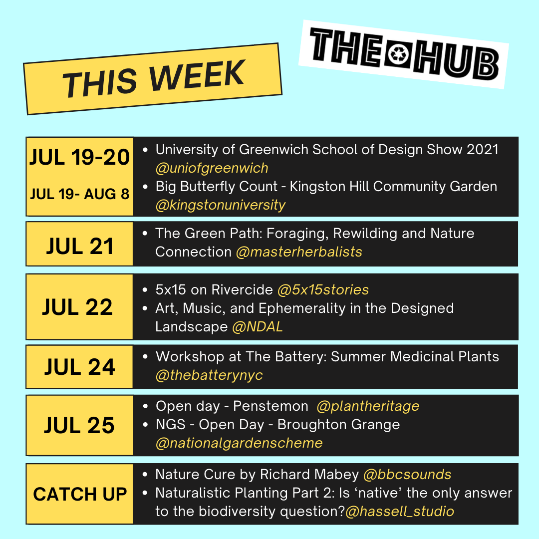 This Week on thehub.earth 19-25 July