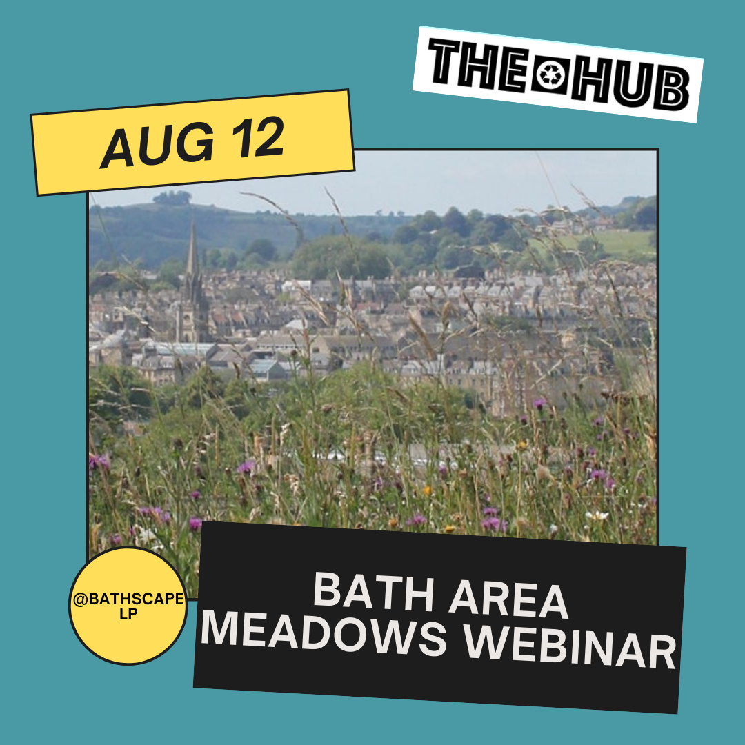 Bath Area Meadows Webinar