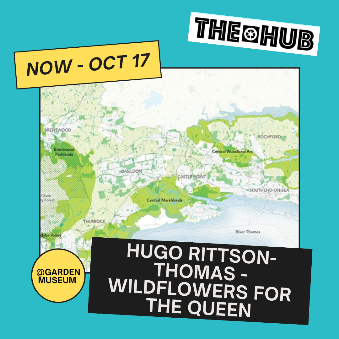 Hugo Rittson-Thomas - Wildflowers For The Queen