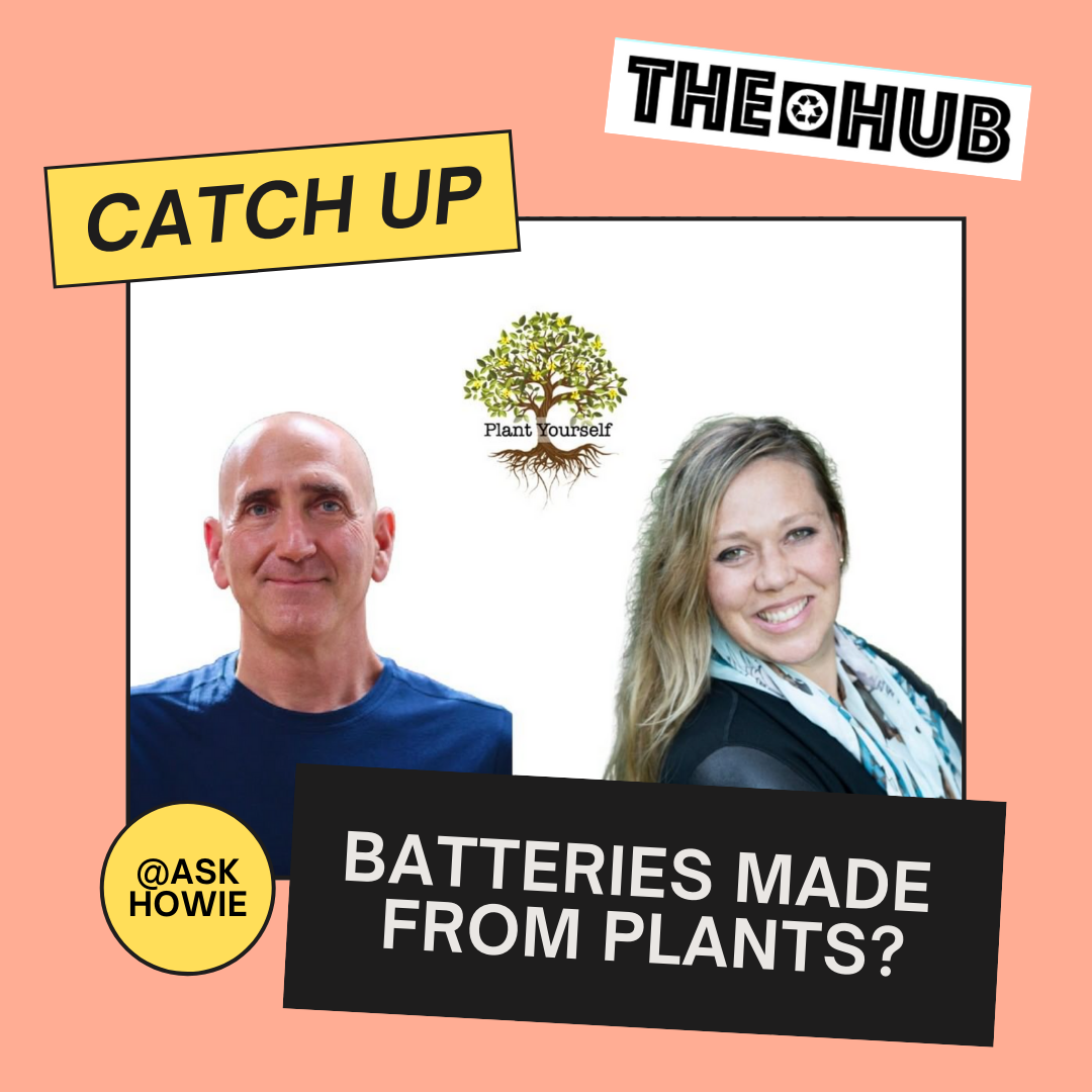 Batteries Made From Plants?