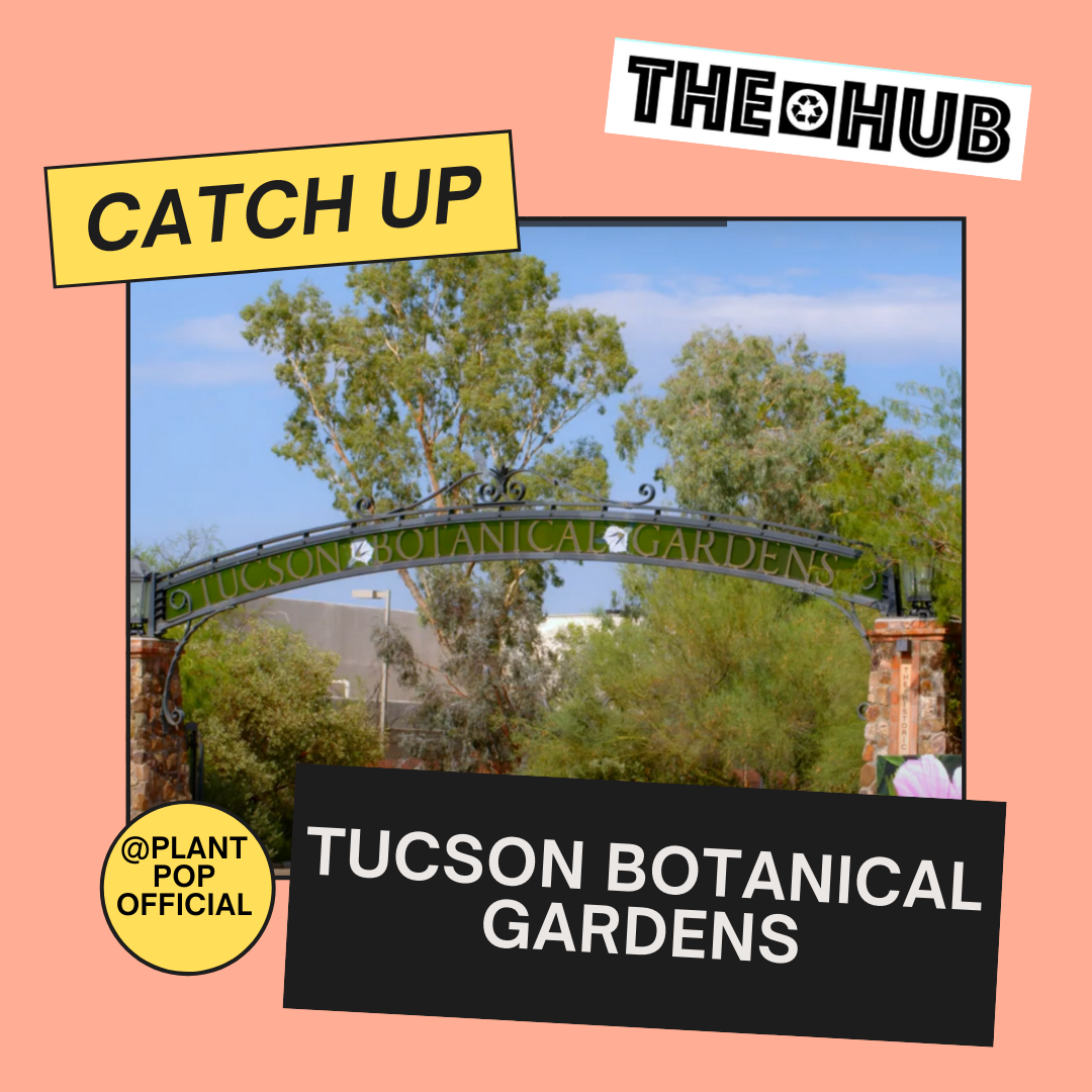 Tucson Botanical Gardens