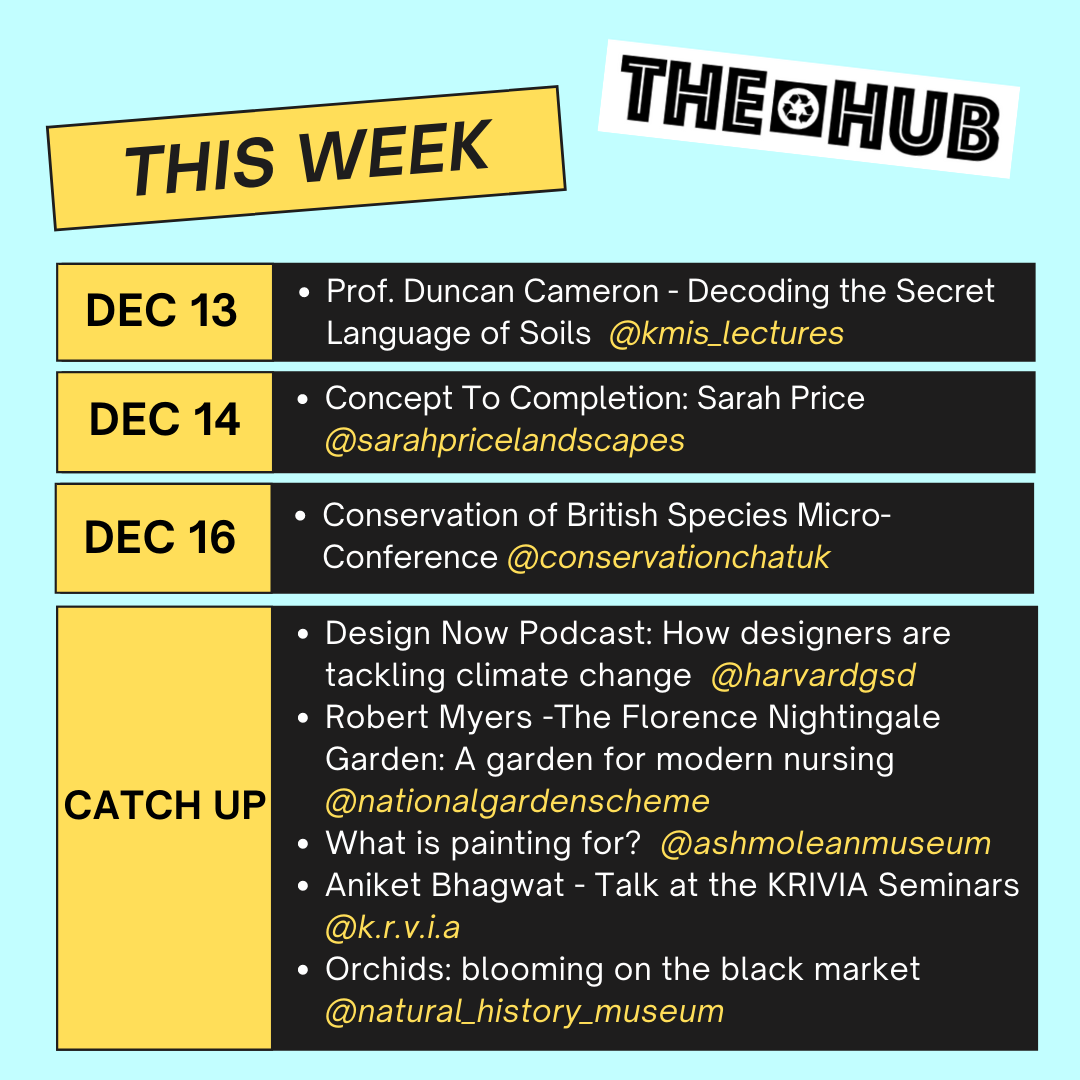 This Week on thehub.earth 13-19 December 2021