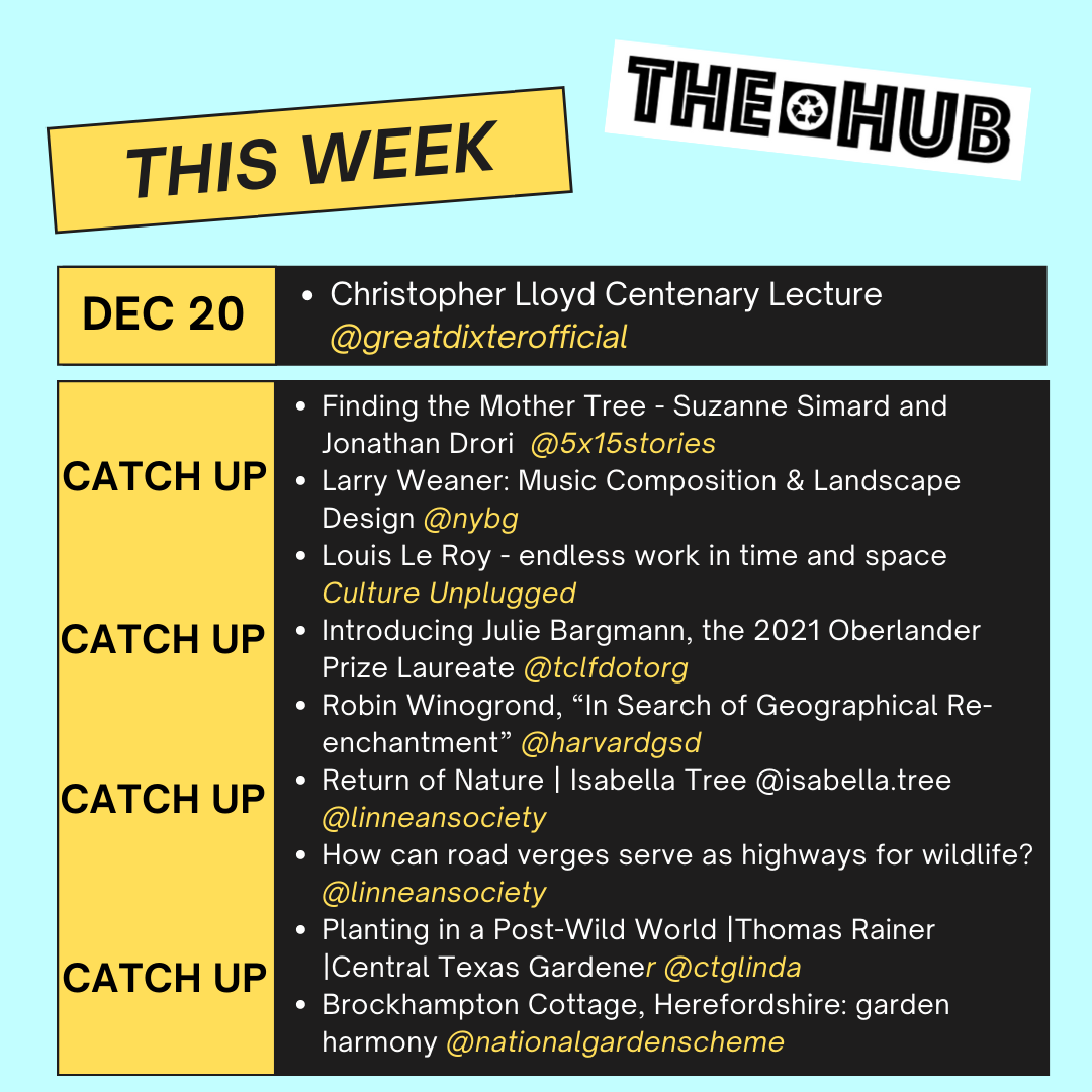 This Week on thehub.earth 20-29 December 2021