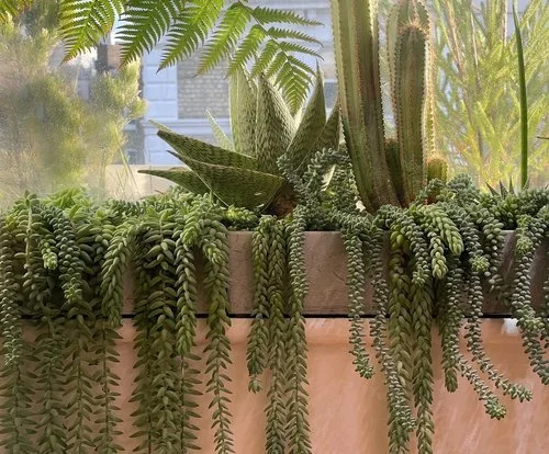 James Wong on Living with Pants - Fundraiser for Ukraine