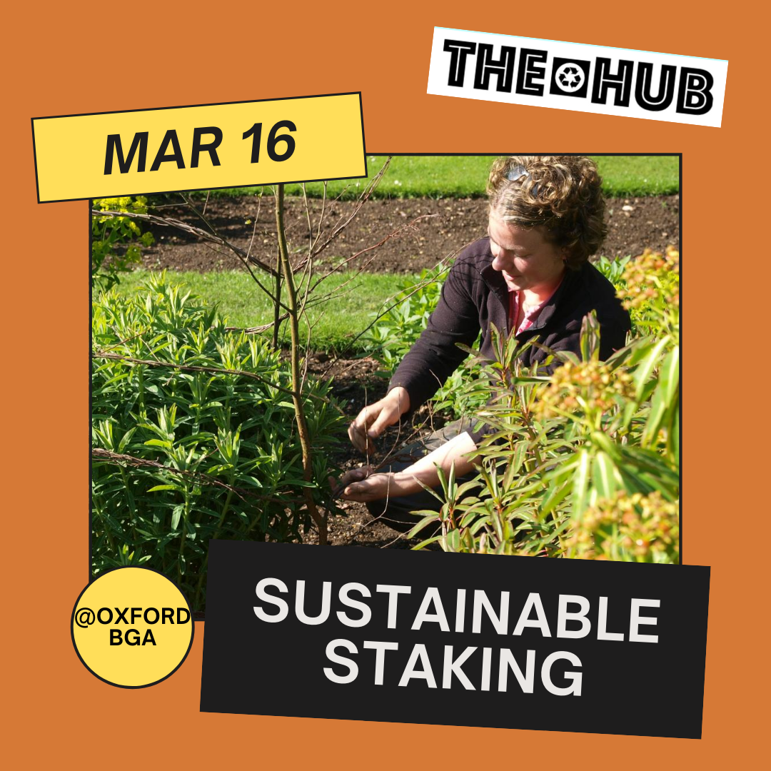 Sustainable Staking