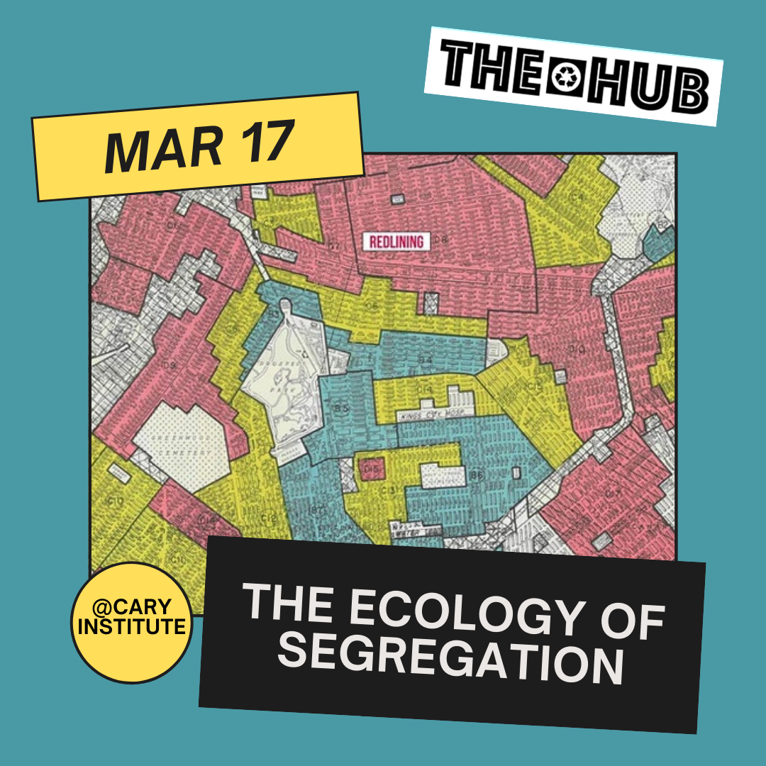 The Ecology of Segregation