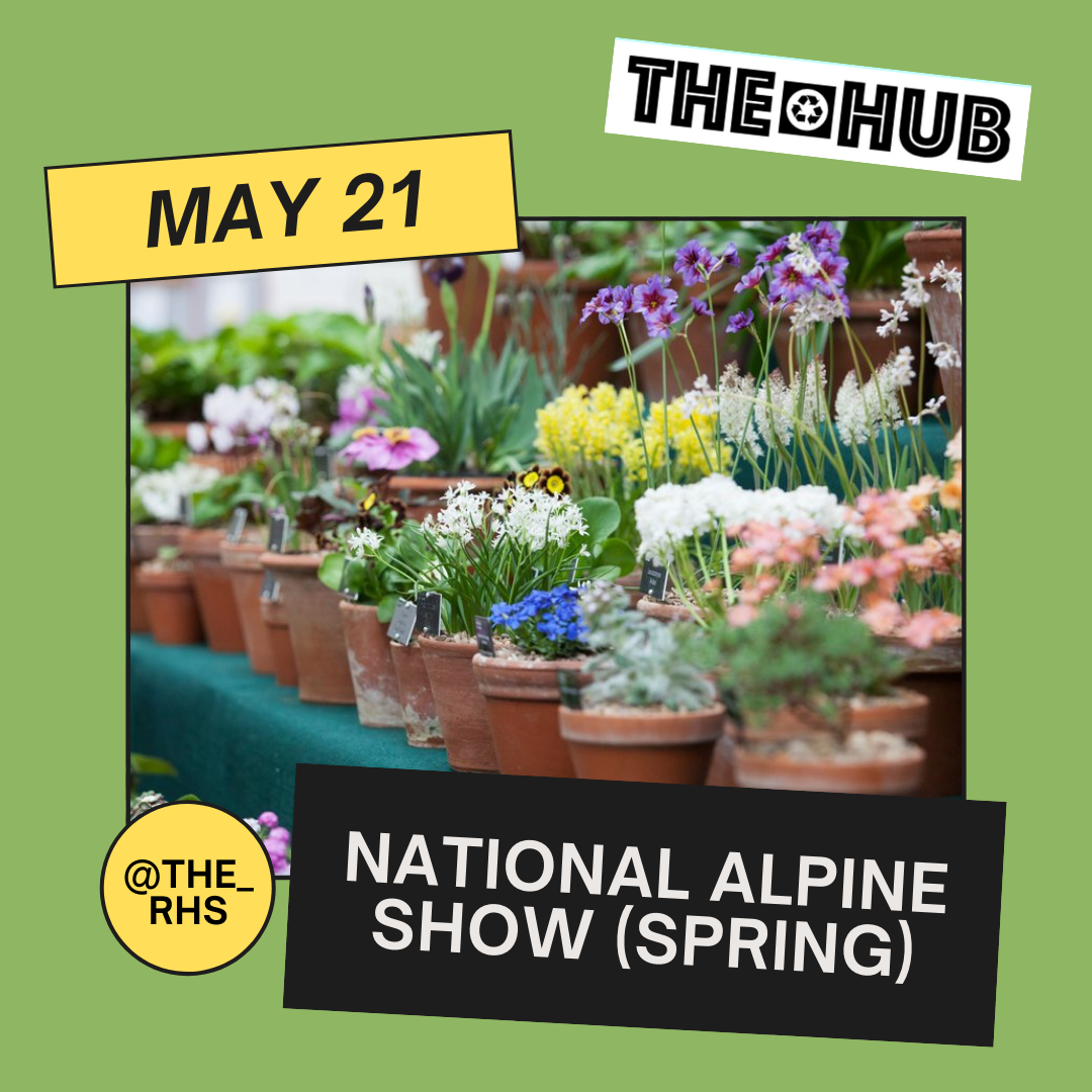 National Alpine Show (Spring) — THE HUB