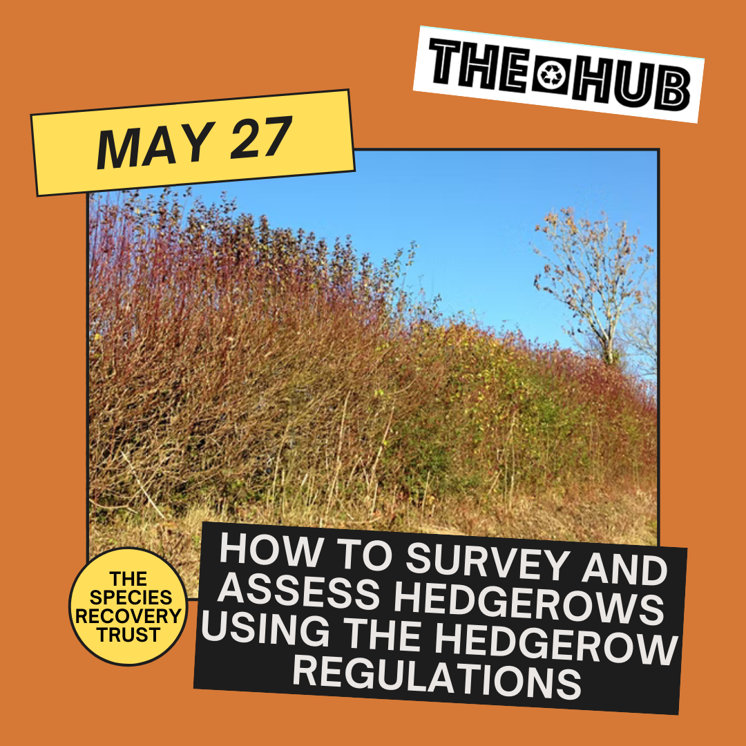 How to survey and assess hedgerows using the Hedgerow Regulations
