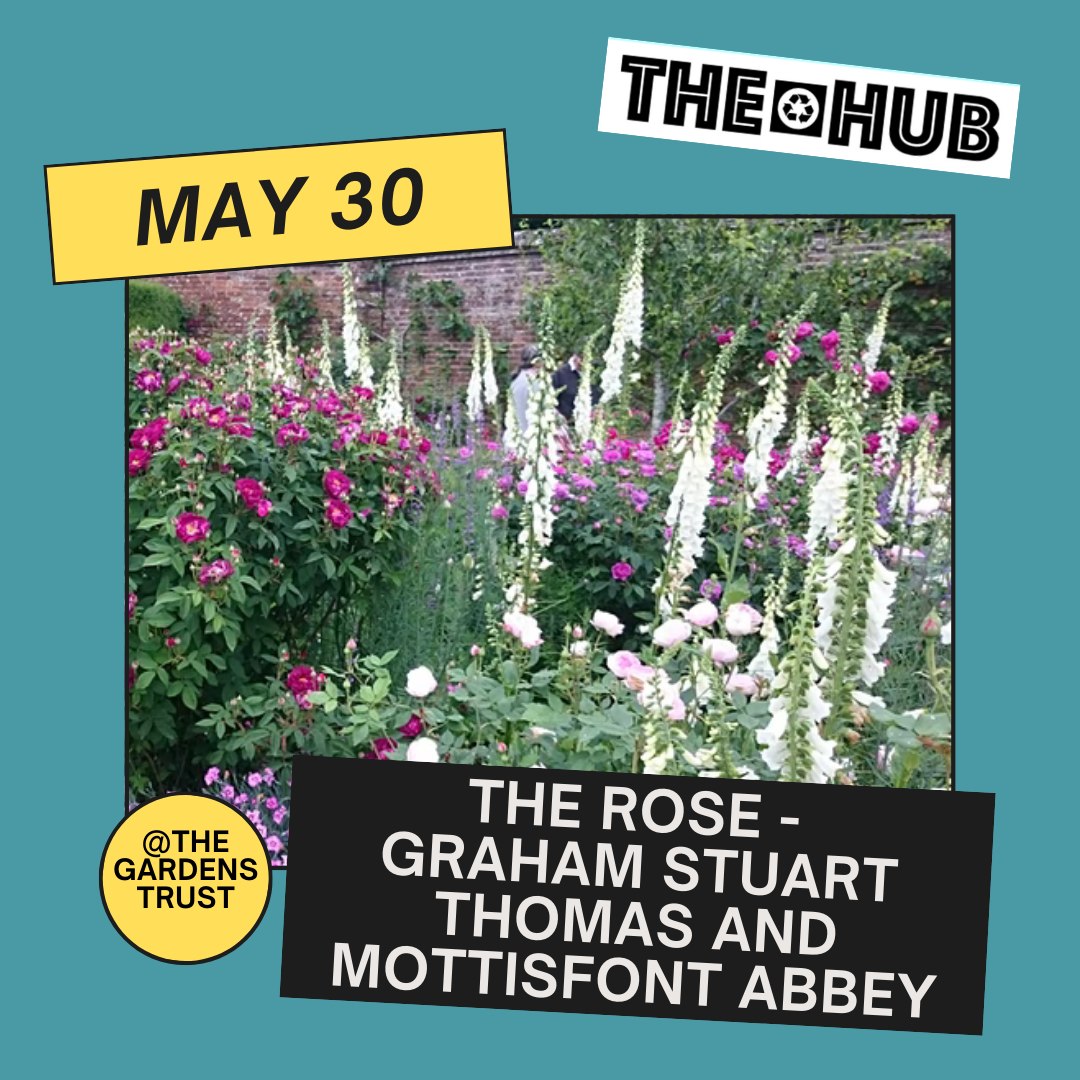 The Rose - Graham Stuart Thomas and Mottisfont Abbey