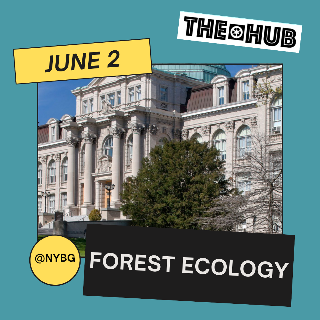 Forest Ecology