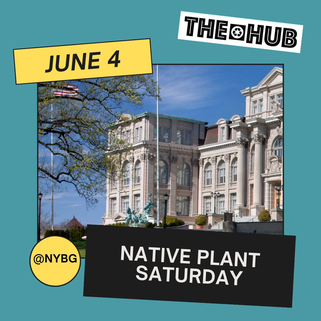 Native Plant Saturday
