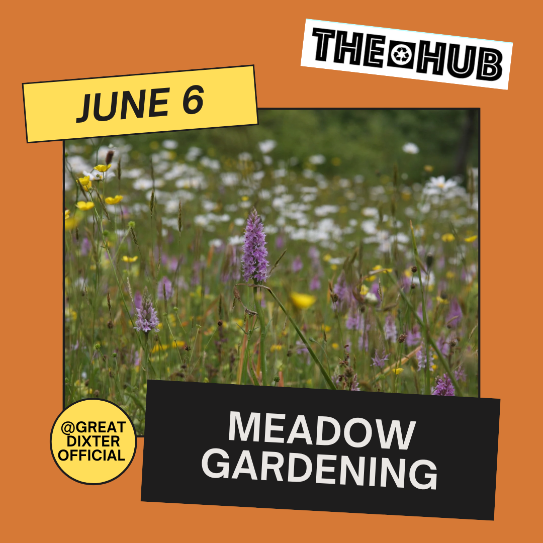 Meadow gardening