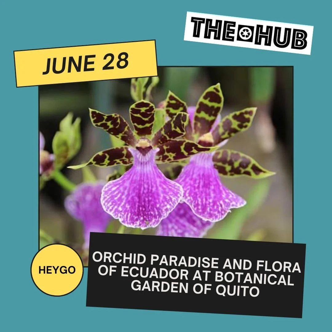 Orchid Paradise and Flora of Ecuador at Botanical Garden of Quito