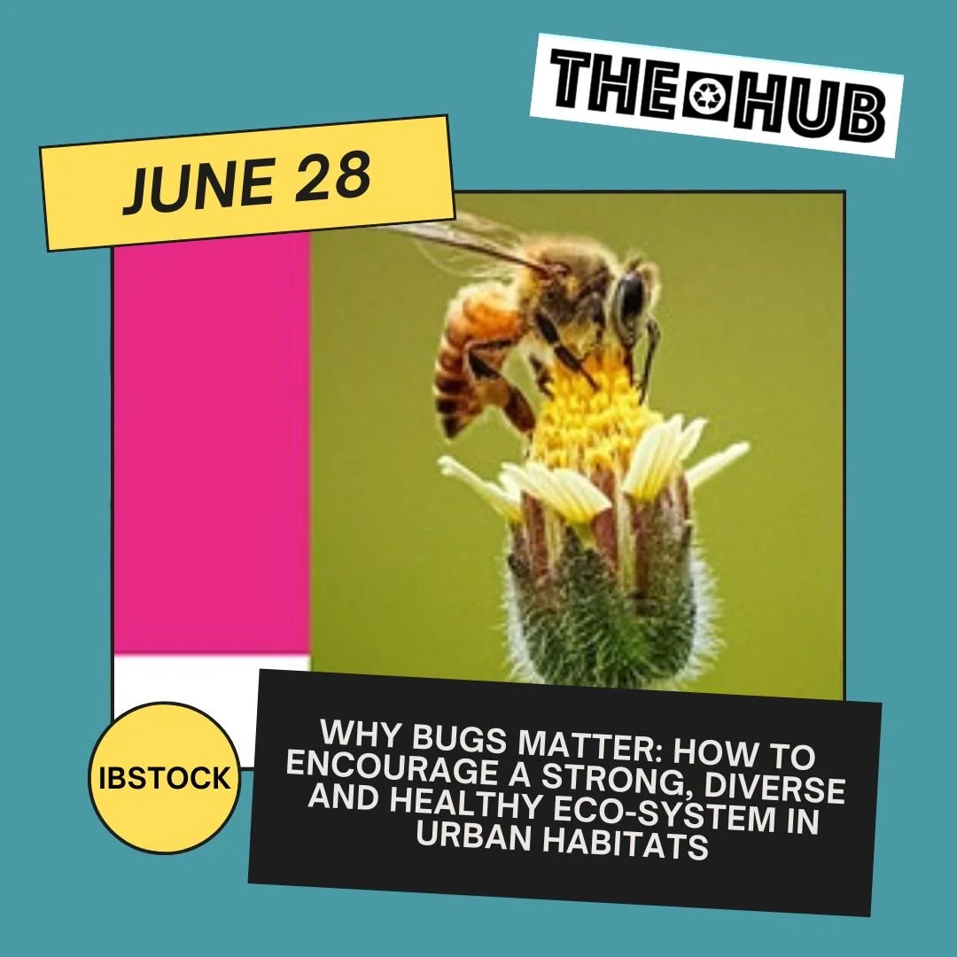 Why bugs matter: How to Encourage a Strong, Diverse and Healthy Eco-System in Urban Habitats