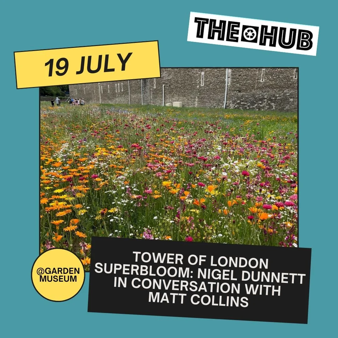 Tower of London Superbloom: Nigel Dunnett in conversation with Matt Collins
