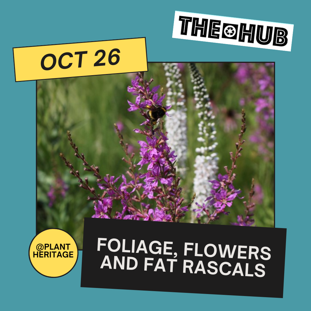 Foliage, flowers and fat rascals