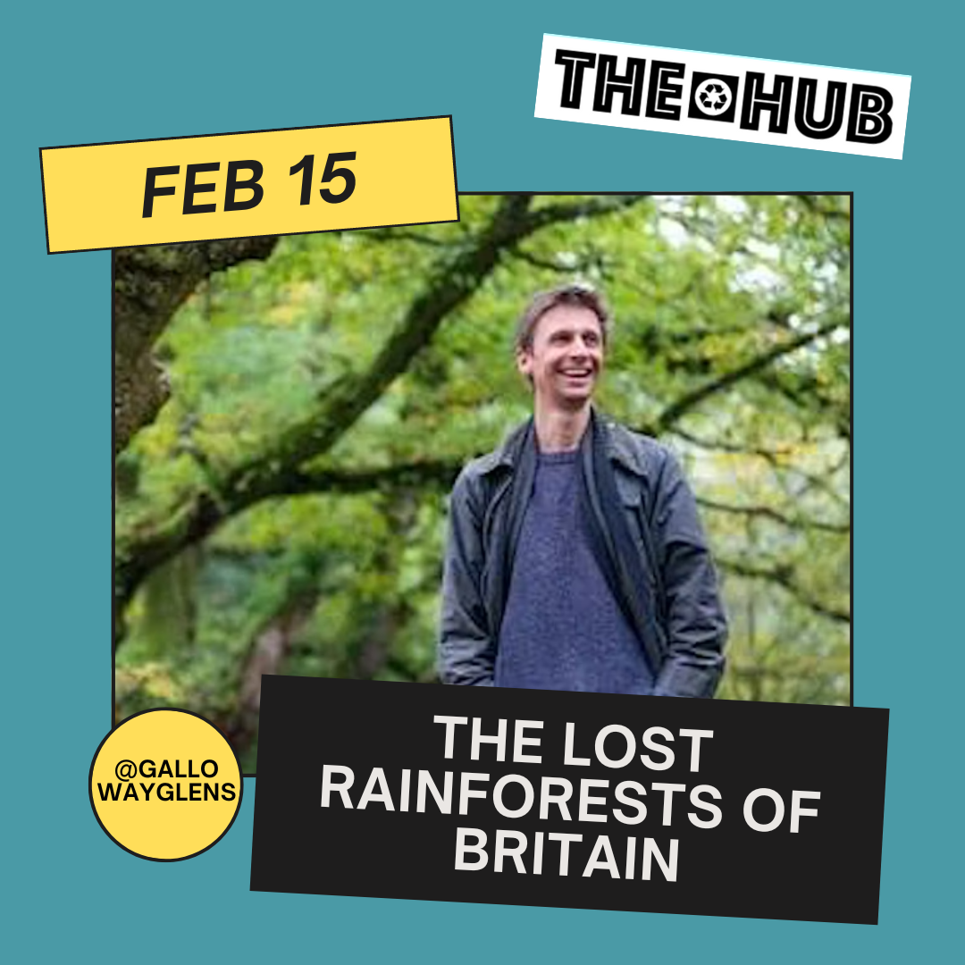 The Lost Rainforests of Britain