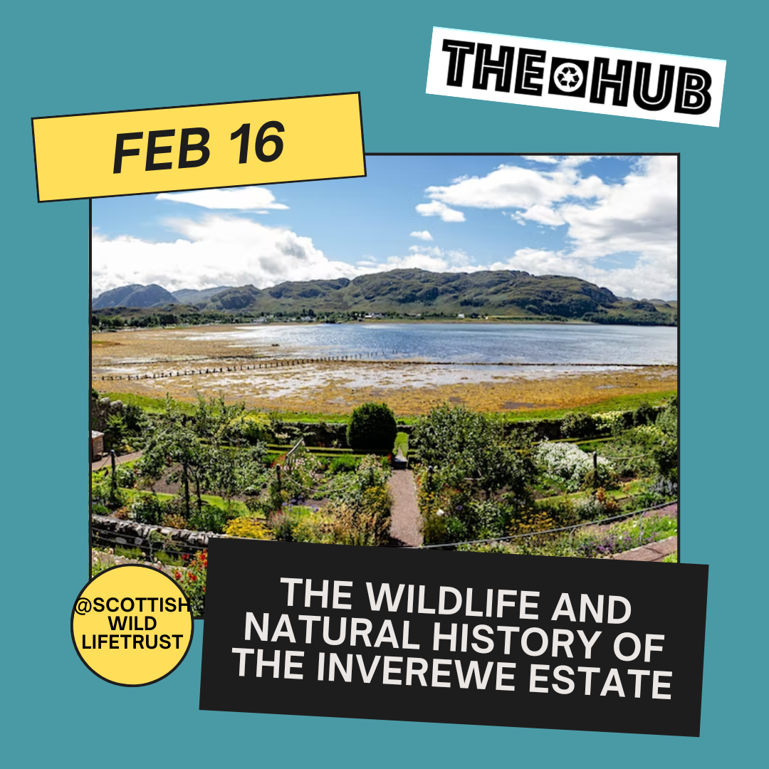 The wildlife and natural history of the Inverewe Estate