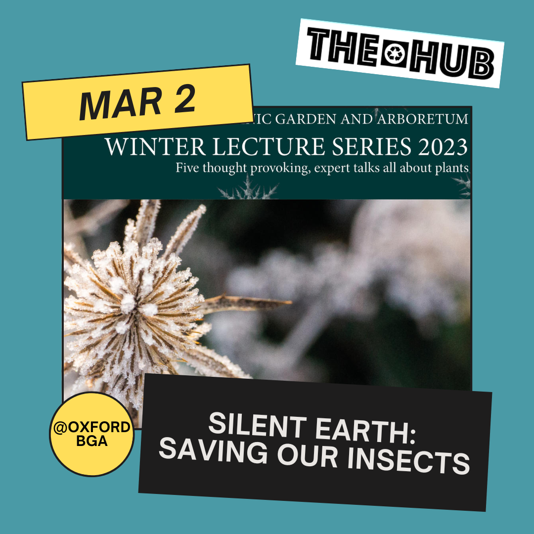 Silent Insect Silent Earth: Saving our Insects — THE HUB