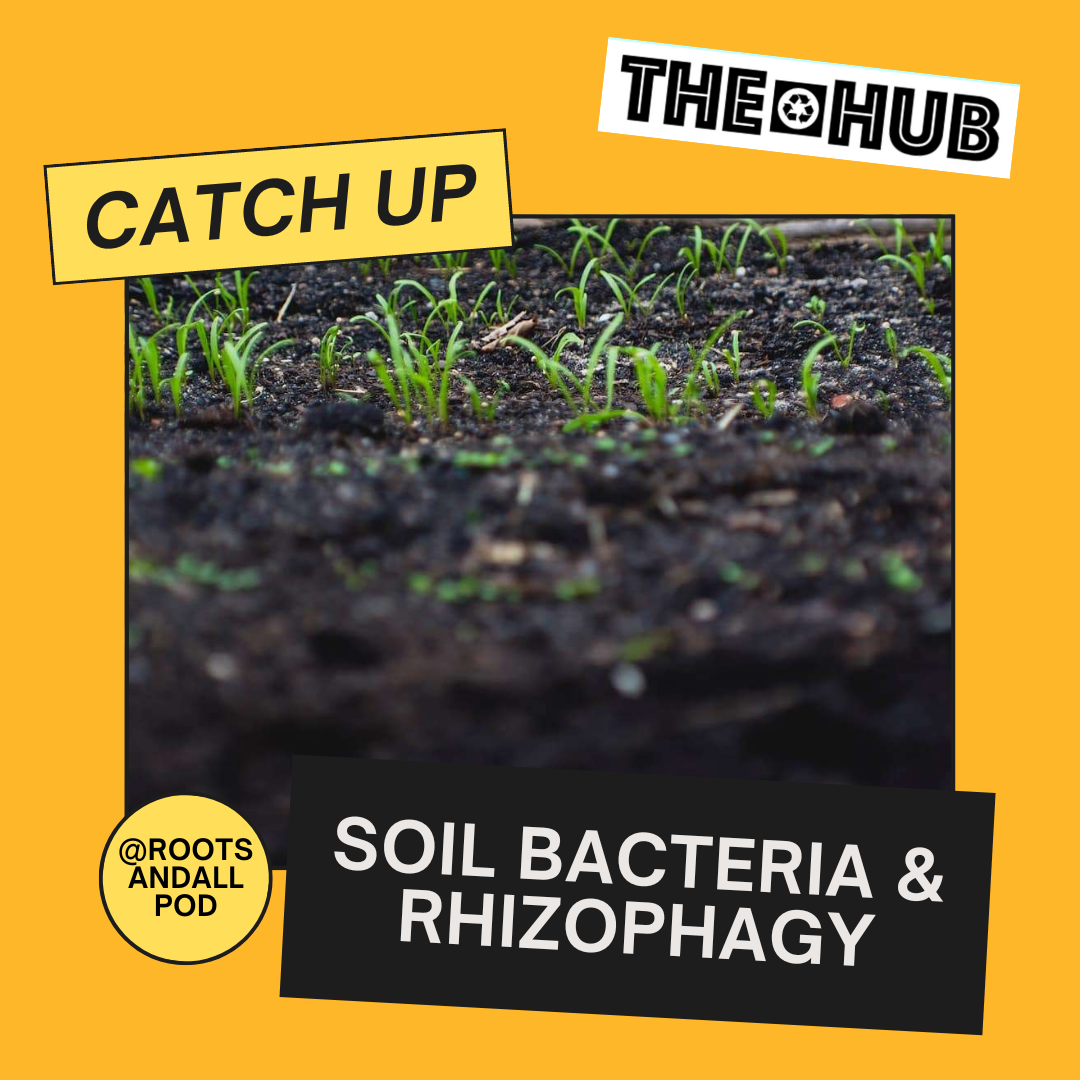 Soil Bacteria &amp; Rhizophagy