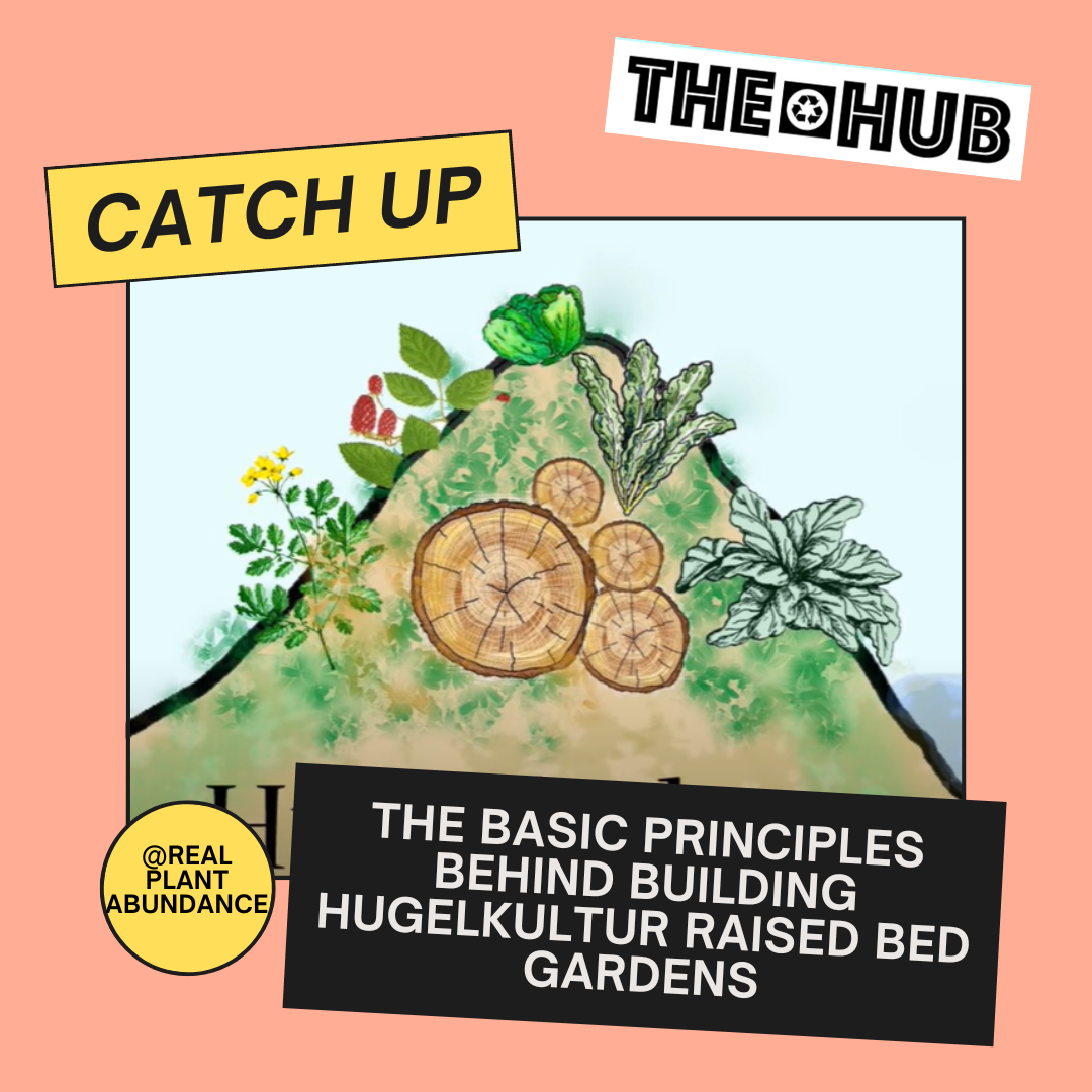 The Basic Principles Behind Building Hugelkultur Raised Bed Gardens