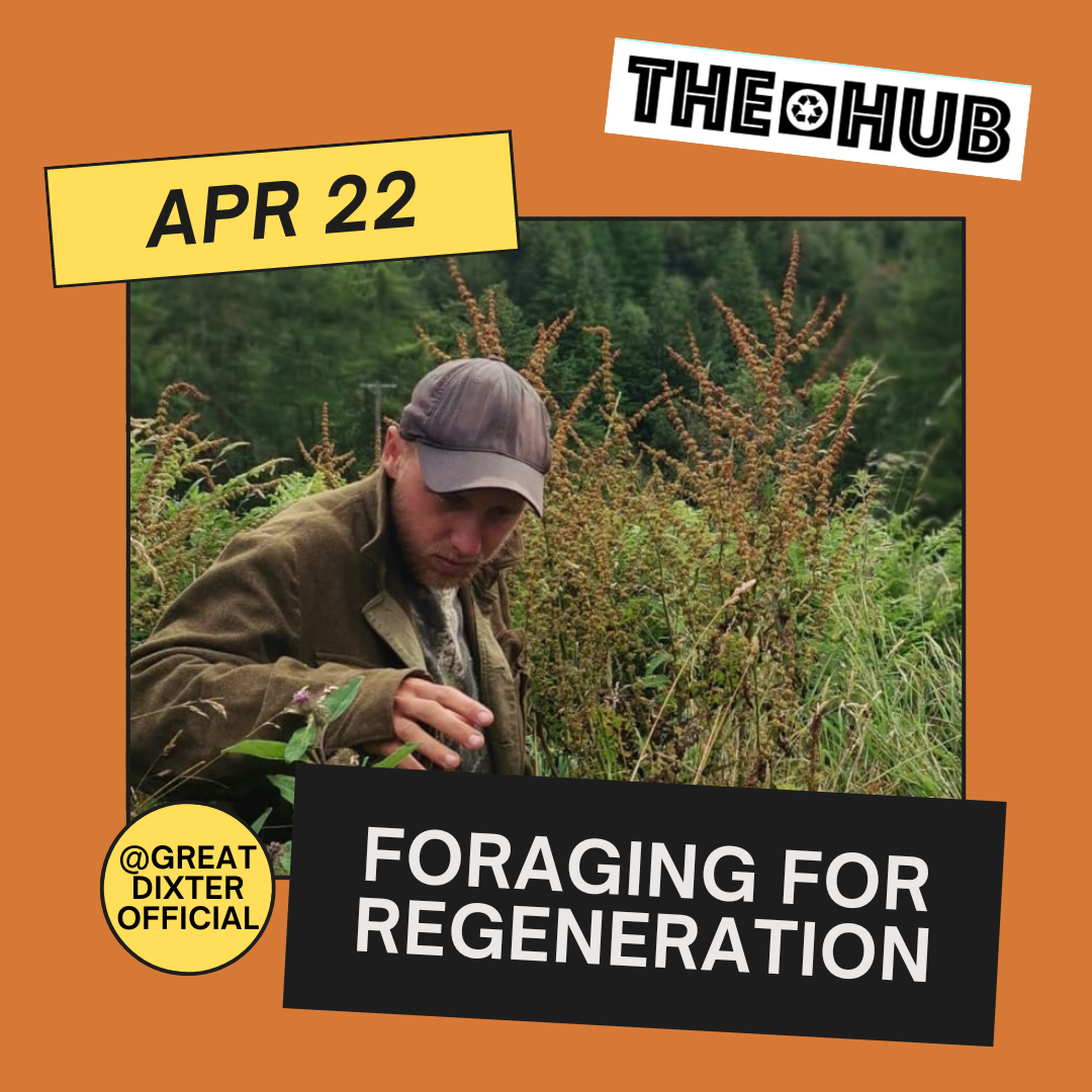 Foraging for Regeneration