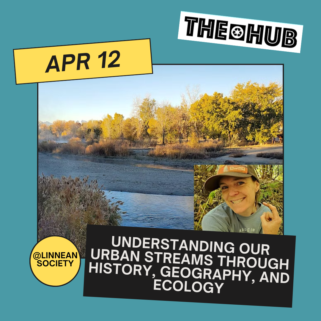 Understanding our Urban Streams Through History, Geography, and Ecology