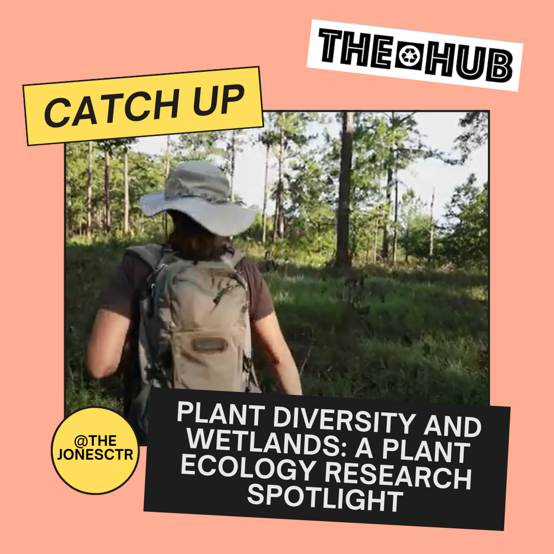 Plant Diversity and Wetlands: A Plant Ecology Research Spotlight
