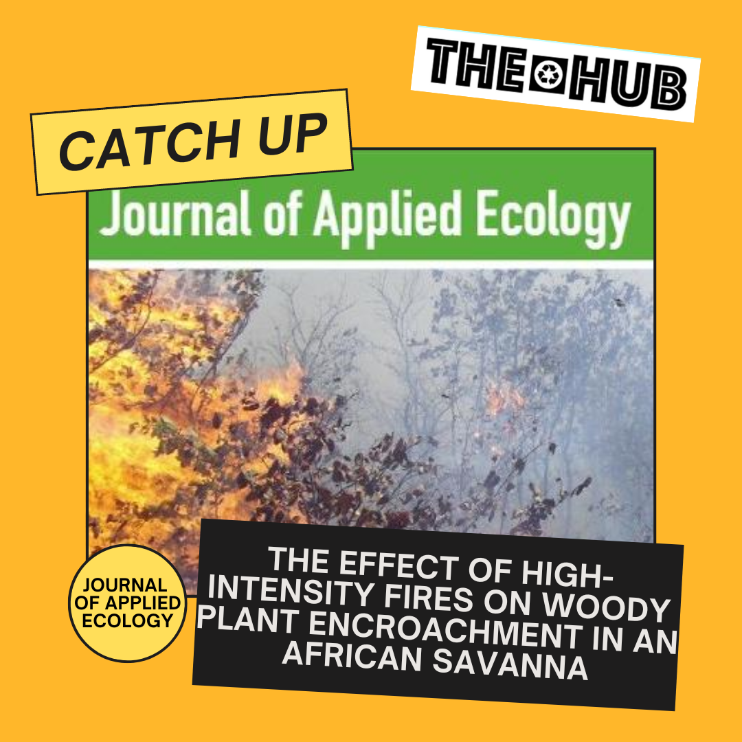 The effect of high-intensity fires on woody plant encroachment in an African savanna