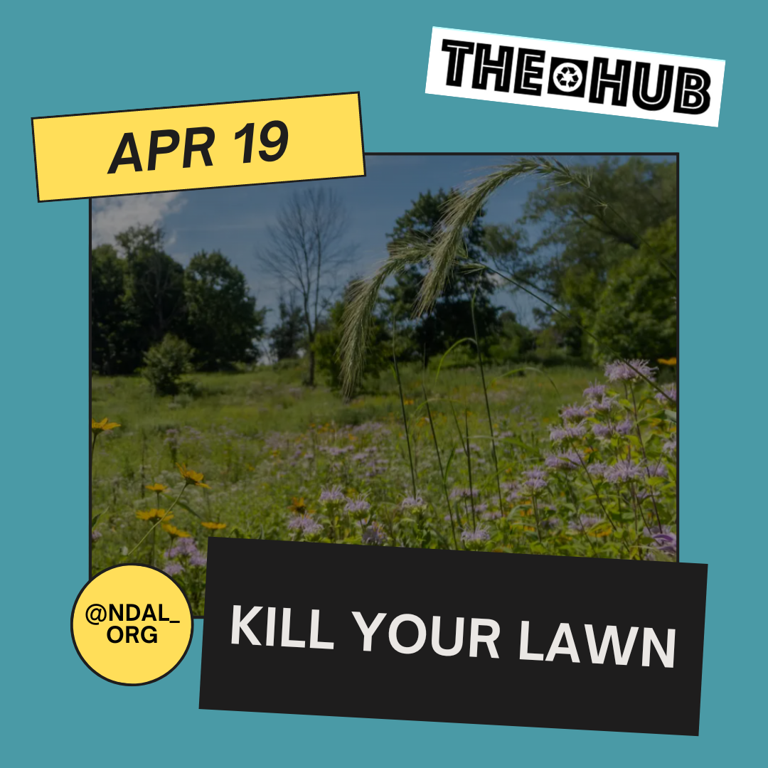 Kill Your Lawn