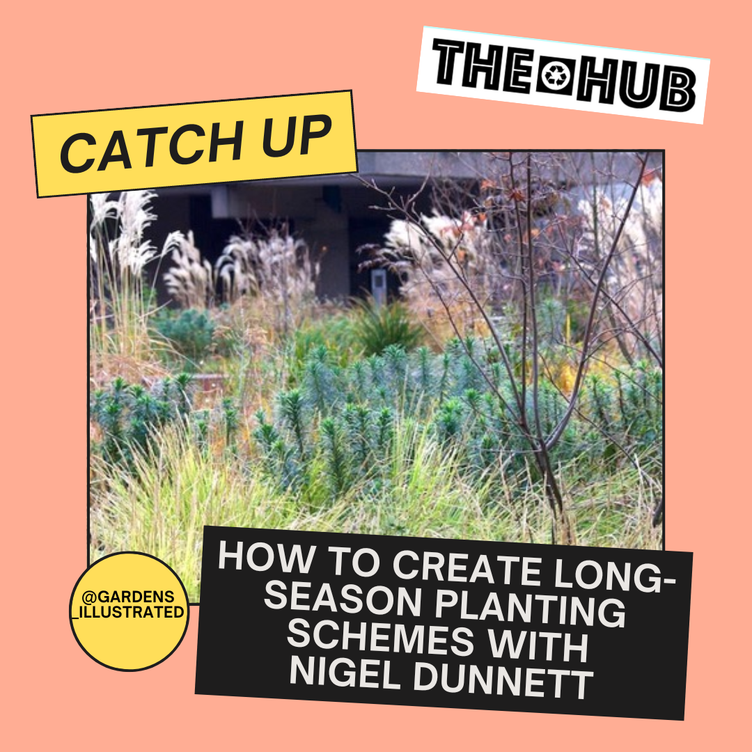 How to create long-season planting schemes with Nigel Dunnett