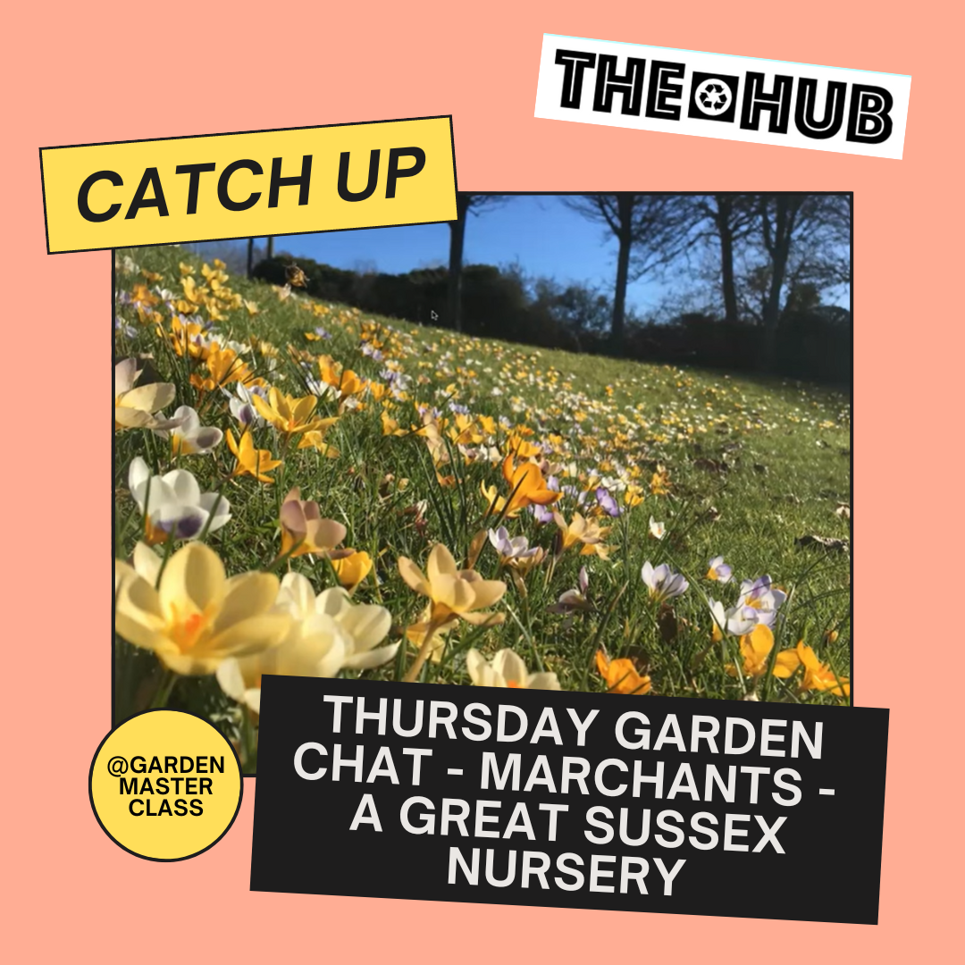 Thursday Garden Chat - Marchants - a great Sussex nursery