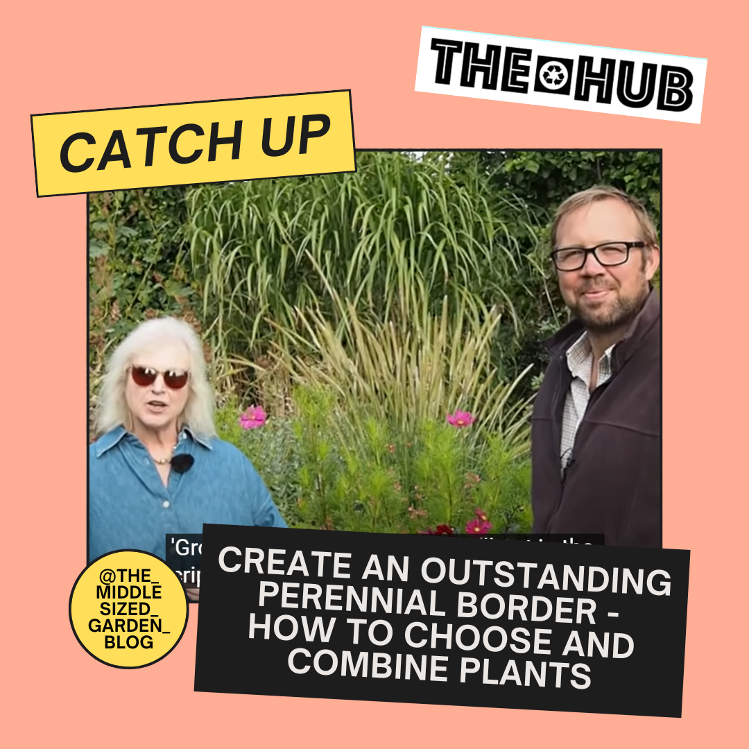 Create an outstanding perennial border - how to choose and combine plants