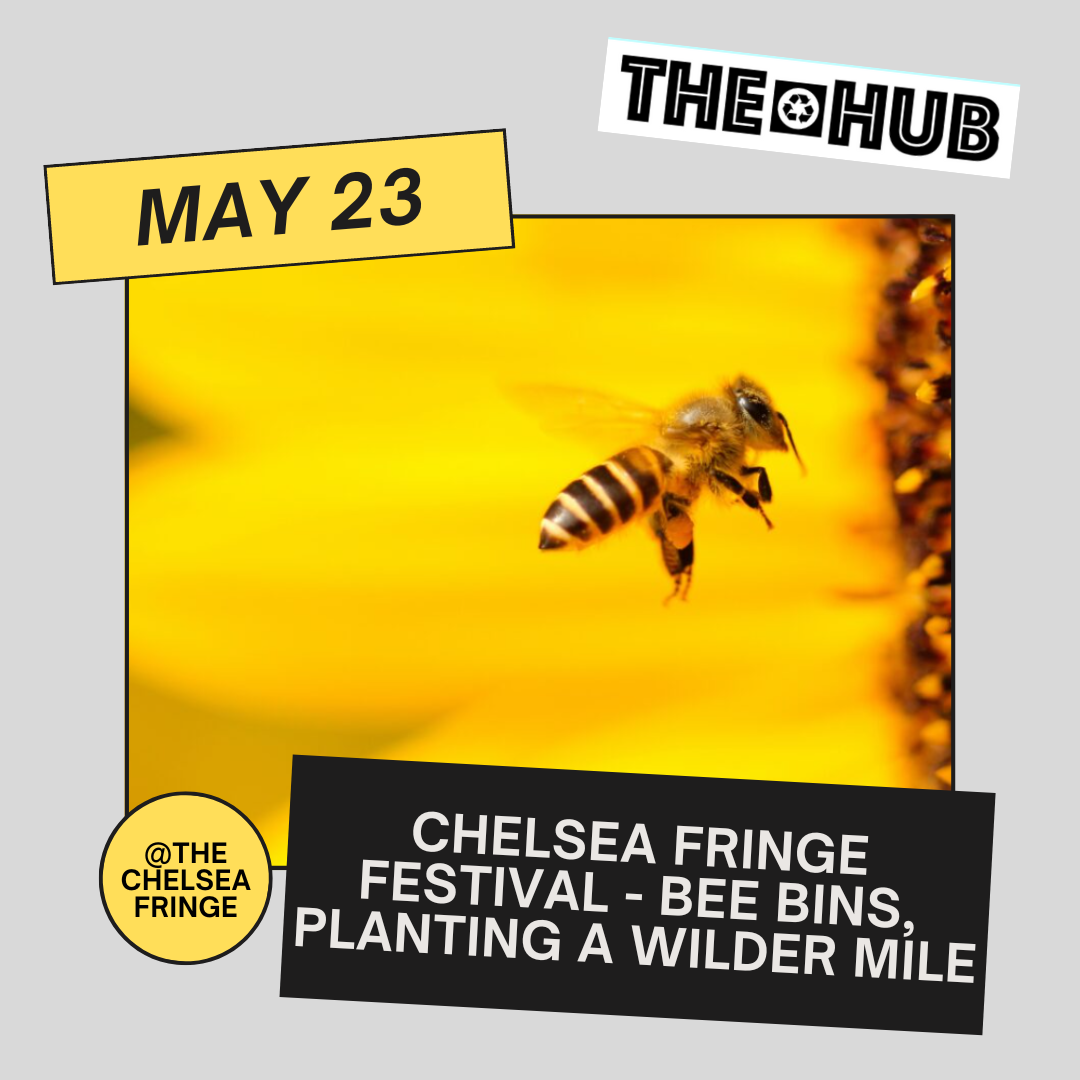 Chelsea Fringe Festival - Bee Bins, Planting a Wilder Mile