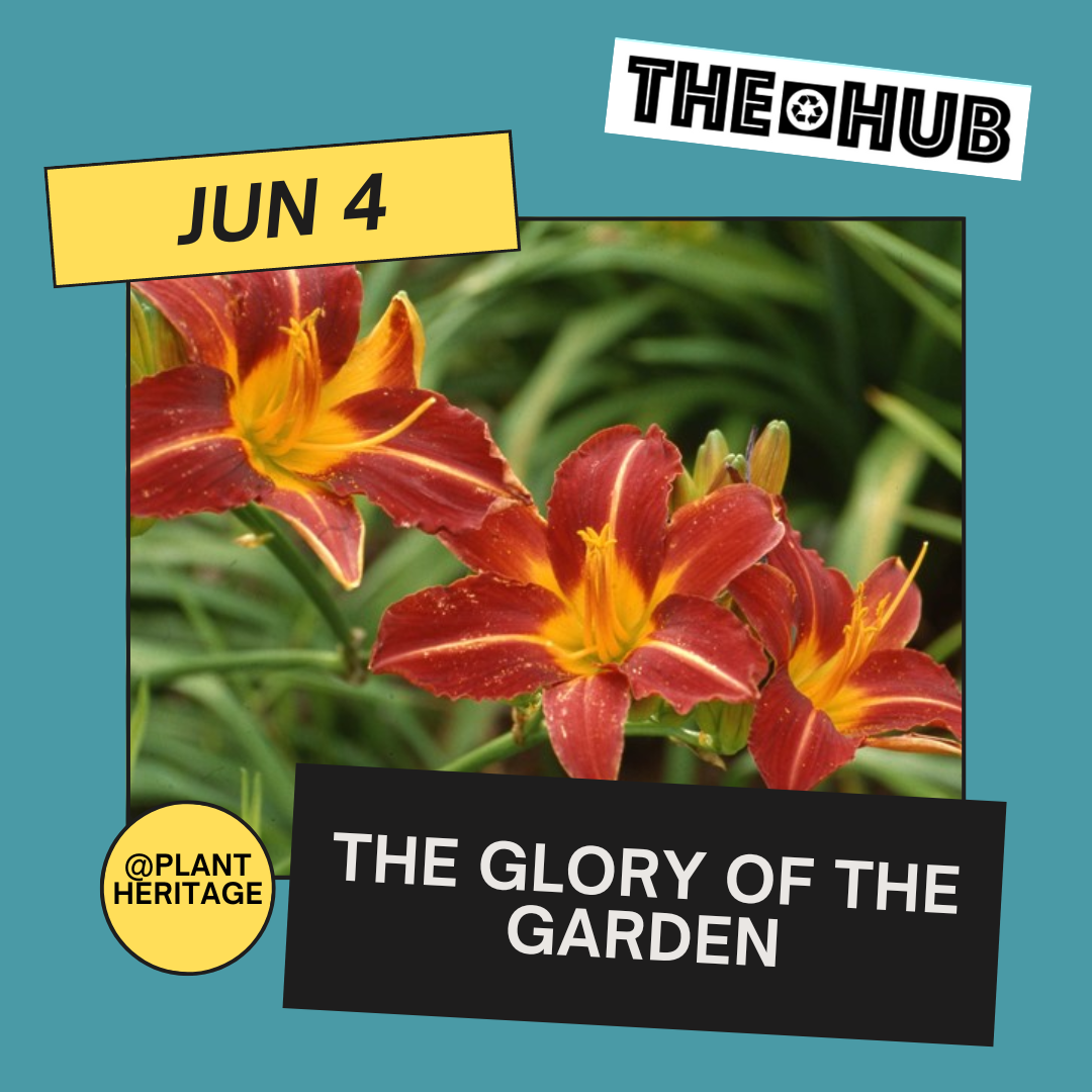 The Glory of the Garden