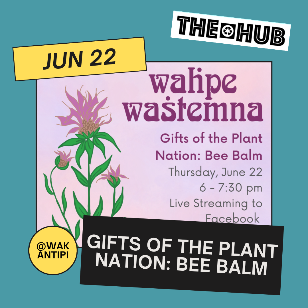 Gifts of the Plant Nation: Bee Balm