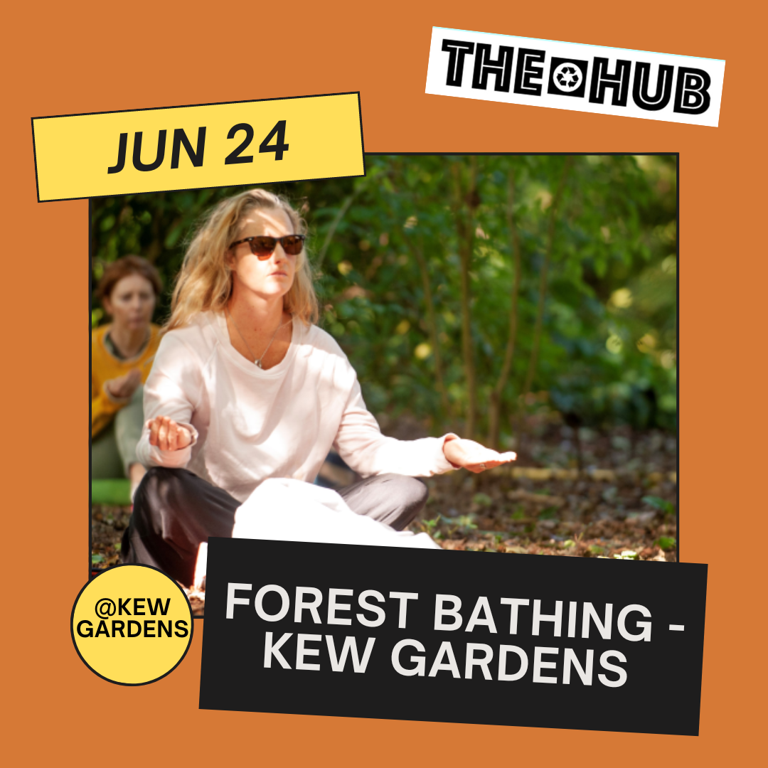 Forest Bathing - Kew Gardens 