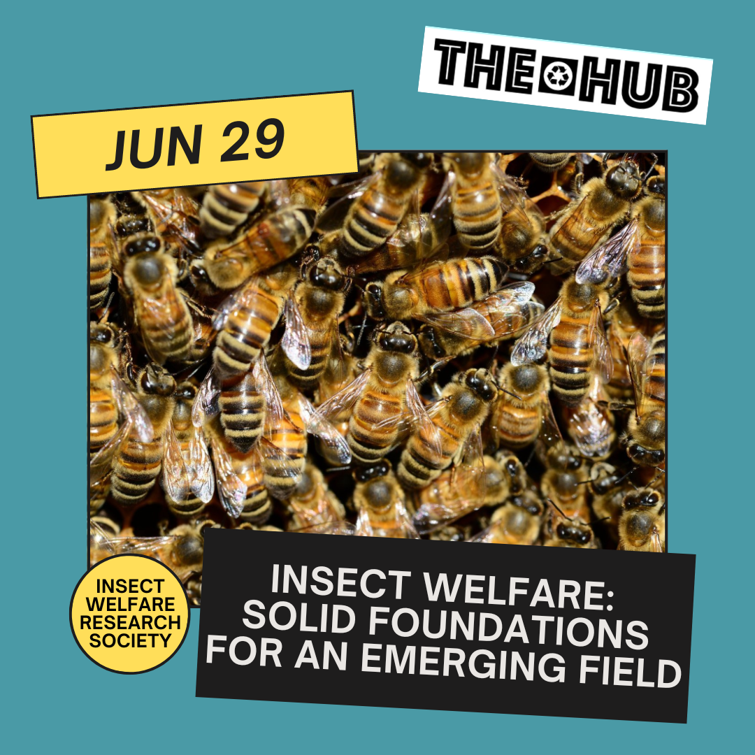 Insect welfare: Solid foundations for an emerging field