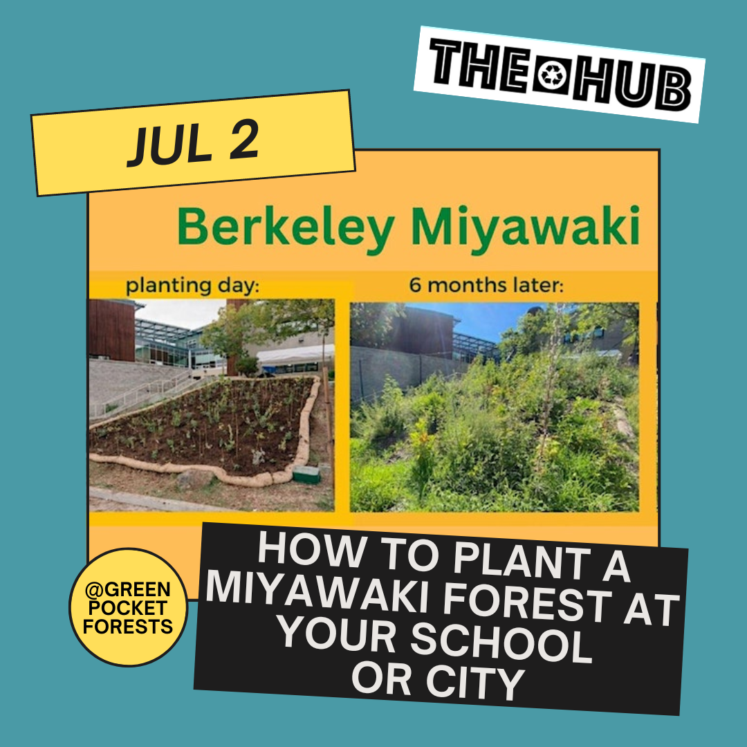 How to Plant a Miyawaki Forest at your school or city